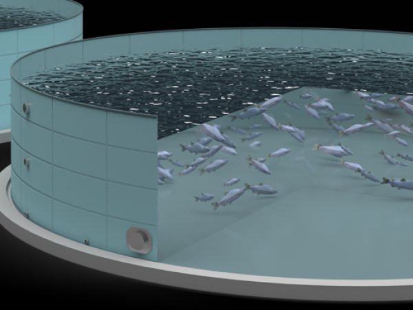 Aquaculture